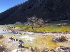-黄龙山原始森林景区