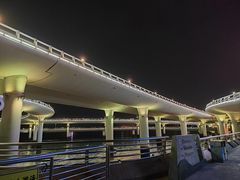 -演武大桥观景平台