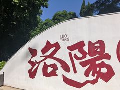 -洛阳市牡丹公园