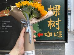 -一棵树咖啡馆(泉乐坊店)