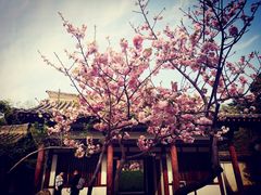 -西安青龙寺遗址景区