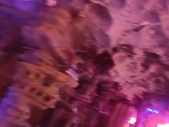 -水木谷养生水汇