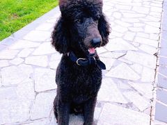 -春晖园度假酒店温泉