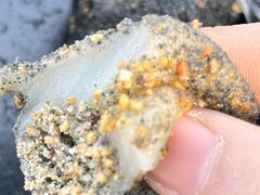 -叶氏麻糍(鼓浪屿店)