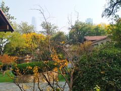-静园(和平区)