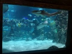 -杭州海底世界