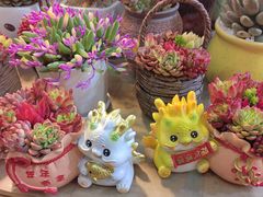 -双季花艺园艺市场(浦东店)