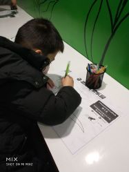 -恐龙探索乐园(磁器口店)