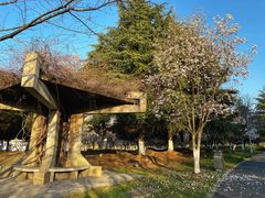 -白塘生态植物园