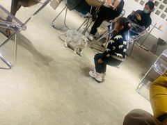-浣熊柯尔鸭土拨鼠·电玩咖
