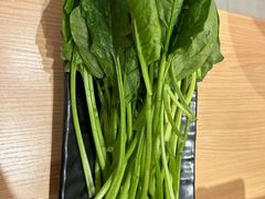 菠菜-呷哺呷哺(宝山正大乐城店)