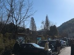 -天目湖山水园