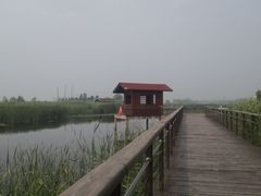 -苏州太湖湖滨国家湿地公园