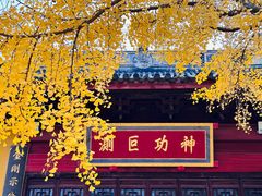 -上海青龙寺