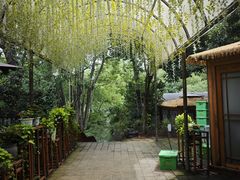 -张鸟园农家乐(张鸟园店)