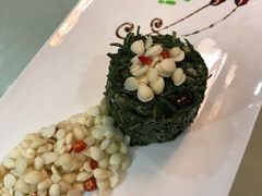 苦菜拌杏仁-陕北农家宴