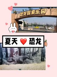 -恐龙探索乐园(磁器口店)