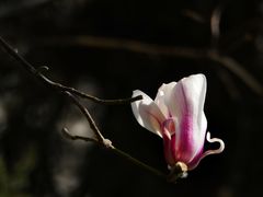 -东华门大街小区