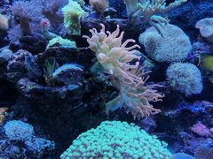 -长沙海底世界