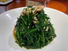 -老阿妈蒙古村·蒙古包·草原文化·歌舞表演(老君堂店)