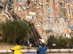 -西霞口神雕山野生动物世界