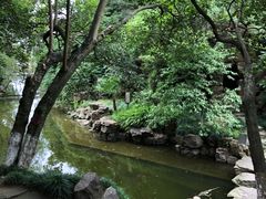 -水绘园