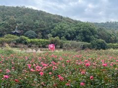-龙寺生态园