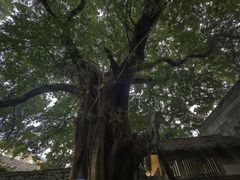 -桂林独秀峰王城景区