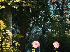 -国家图书馆·古籍馆