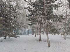 -牛到家牛排(城外诚店)