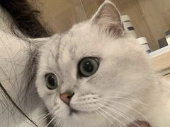 -美迦爱-牙专科·兔科·骨科诊疗中心(北苑店)