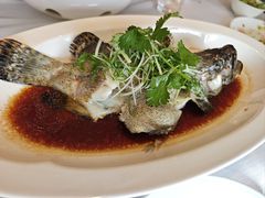 -顺峰(农展馆店)