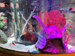 -沈阳海洋探索中心