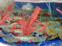 -金瑞轩大酒楼·顺德鱼生·粤菜海鲜(东江国际店)