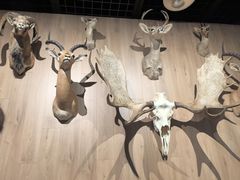 -陕西自然博物馆