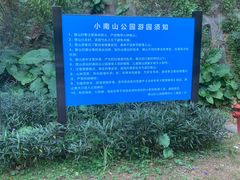 -小南山公园