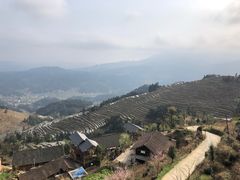 -紫鹊界梯田景区