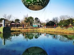 -西溪国家湿地公园