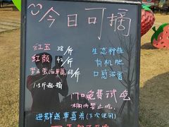 -花博汇(知音花月夜)