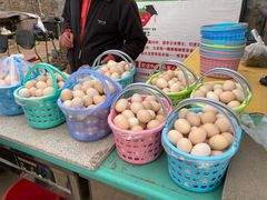 -大自然农场蔬菜草莓采摘园