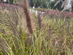 -汉长安城未央宫国家考古遗址公园