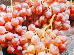 -中百仓储超市(百步亭花园路店)