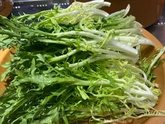 -龍歌自助小火锅(兰山上海路万达店)