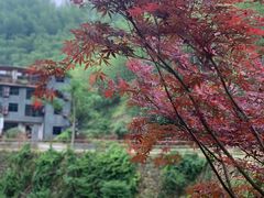 -山沟沟景区