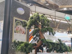 -洪氏嗨捞·猪肚鸡火锅(阳光天地店)