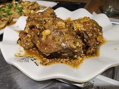 -老号尤兔头(幸福店)