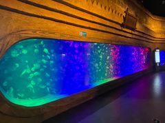 -华夏文旅海洋公园