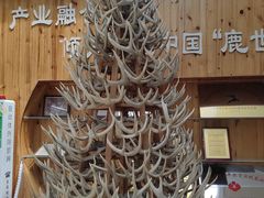 -北京鹿世界主题园