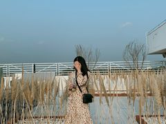 -Blue Concept Cafe&Farm·關於藍