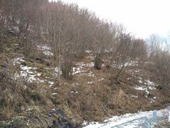 景点-叠溪松坪沟景区